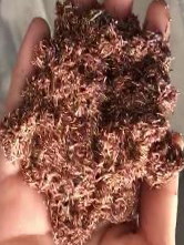 乐天堂·fun88(中国区) - 官方网站